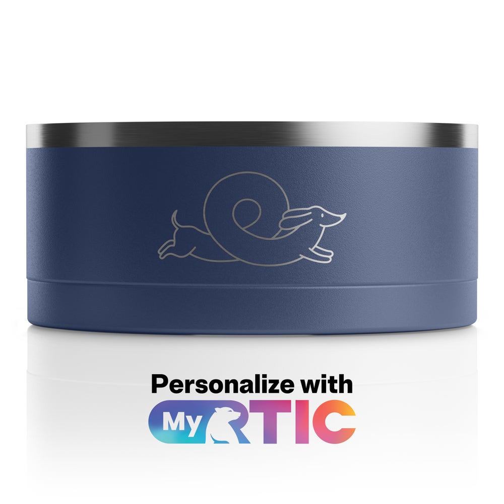 Large 3-In-1 Dog Bowl, Deep Harbor & RTIC Ice